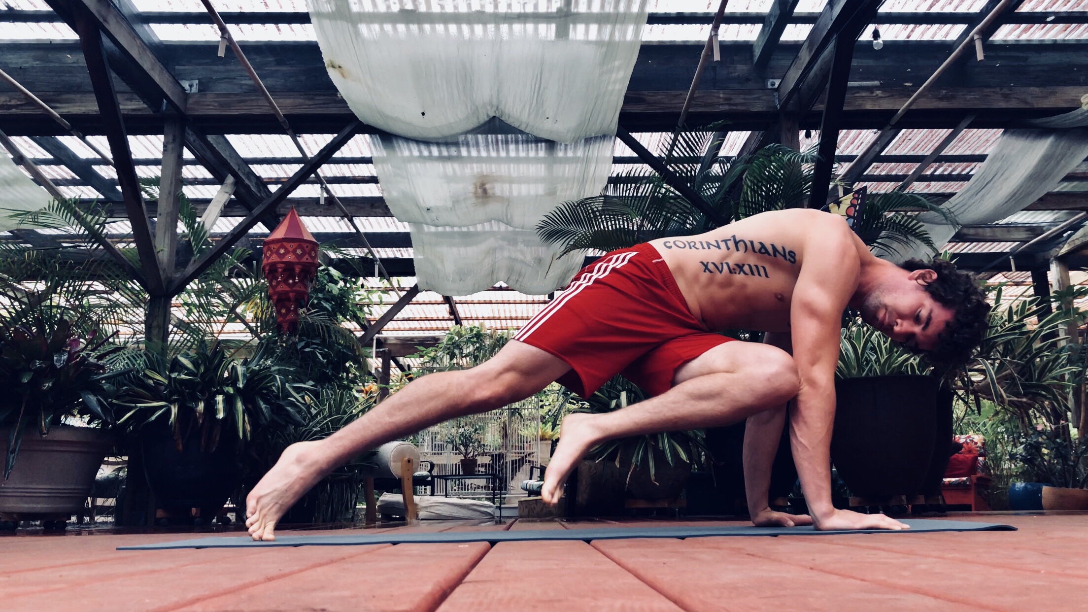 How to Lose Body Fat cover